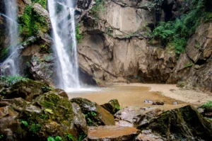 waterfalls forest are flowing into rocks crc863b88a3 size12.88mb 4928x3264 - title:Home - اورچین فایل - format: - sku: - keywords: p_id:18