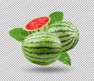 watermelon illustration isolated crc1c538cdd size63.44mb - title:Home - اورچین فایل - format: - sku: - keywords: p_id:18