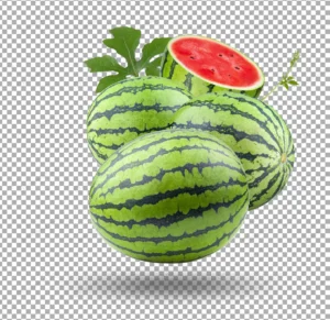 watermelons with cut slice isolated crce1cb157e size68.69mb - title:Home - اورچین فایل - format: - sku: - keywords: p_id:18