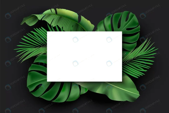 white blank card with green exotic jungle leaves crcd7e27401 size10.89mb - title:وکتور کادر خالی با پس زمینه برگ استوایی - اورچین فایل - format:EPS - وکتور - sku:crcd7e27401 - keywords: p_id:87853