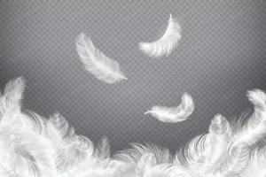 white feather closeup bird angel feathers falling crc0ec6b853 size13.86mb 1 - title:Home - اورچین فایل - format: - sku: - keywords: p_id:18