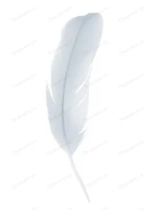 white feather isolated white background crce18a13eb size2.73mb 4000x5459 - title:Home - اورچین فایل - format: - sku: - keywords: p_id:18