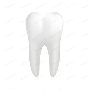 white molar tooth isolated white crc71f055f3 size0.76mb - title:Home - اورچین فایل - format: - sku: - keywords: p_id:18