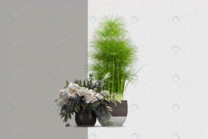 wide variety trees shrubs rendering 3 crc97212356 size8.87mb 1 - title:Home - اورچین فایل - format: - sku: - keywords: p_id:18