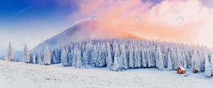 winter landscape trees frost crcd4e73c98 size12.39mb 6000x2478 - title:Home - اورچین فایل - format: - sku: - keywords: p_id:18