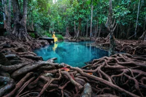 woman sitting tapom khlong song nam krabi thailan crc8bb5fbae size22.94mb 7952x5304 - title:Home - اورچین فایل - format: - sku: - keywords: p_id:18