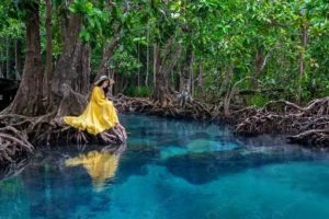 woman sitting tapom krabi thailand crc2aa51a15 size23.07mb 7952x5304 - title:Home - اورچین فایل - format: - sku: - keywords: p_id:18