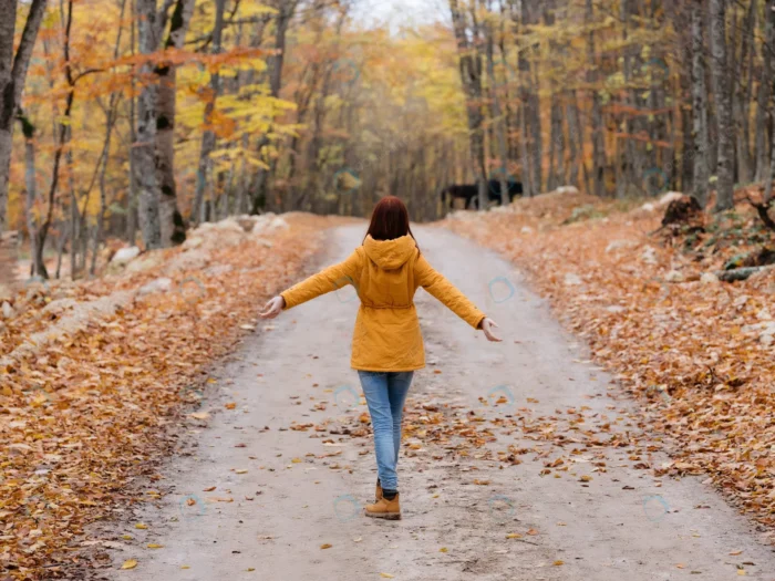 woman yellow jacket autumn forest walk crcd6cf4769 - title:استوک دختر در جاده میان جنگل - اورچین فایل - format:JPG - استوک - sku:crcd6cf4769 - keywords: p_id:63165