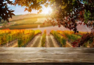 wood table background autumn vineyard country land rnd679 frp5258180 - title:Home - اورچین فایل - format: - sku: - keywords: p_id:18