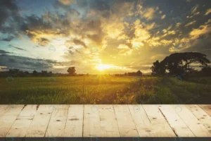 wood table rice field sunset blue sky with lens f crc0b15620f size12.02mb 6000x4000 - title:Home - اورچین فایل - format: - sku: - keywords: p_id:18