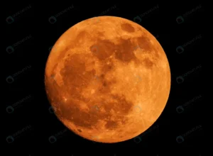 yellow full moon black background crc7302d379 size3.94mb 4210x3091 - title:Home - اورچین فایل - format: - sku: - keywords: p_id:18