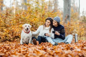 young couple having picnic with their golden labr crc24a419ce size18.31mb 6357x4238 - title:Home - اورچین فایل - format: - sku: - keywords: p_id:18