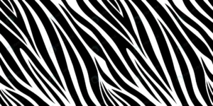 zebra skin pattern animal print black white strip crc77a6c7d5 size1.69mb - title:Home - اورچین فایل - format: - sku: - keywords: p_id:18