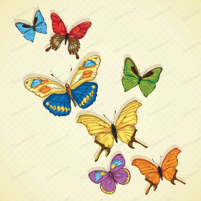 مجموعه پروانه های رنگی