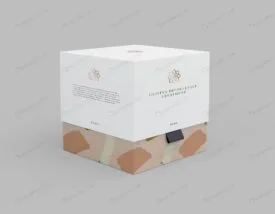 موکاپ جعبه