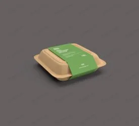 موکاپ ظرف غذا